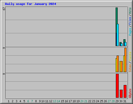 Daily usage for January 2024
