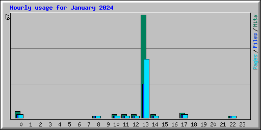Hourly usage for January 2024